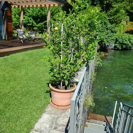 Villa Delle Edere Brienno Exteriör bild