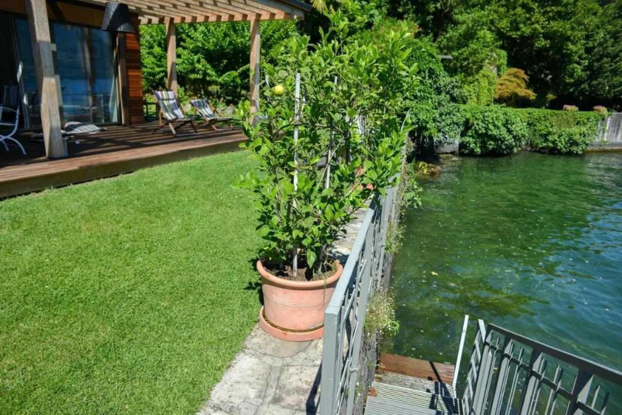 Villa Delle Edere Brienno Exteriör bild