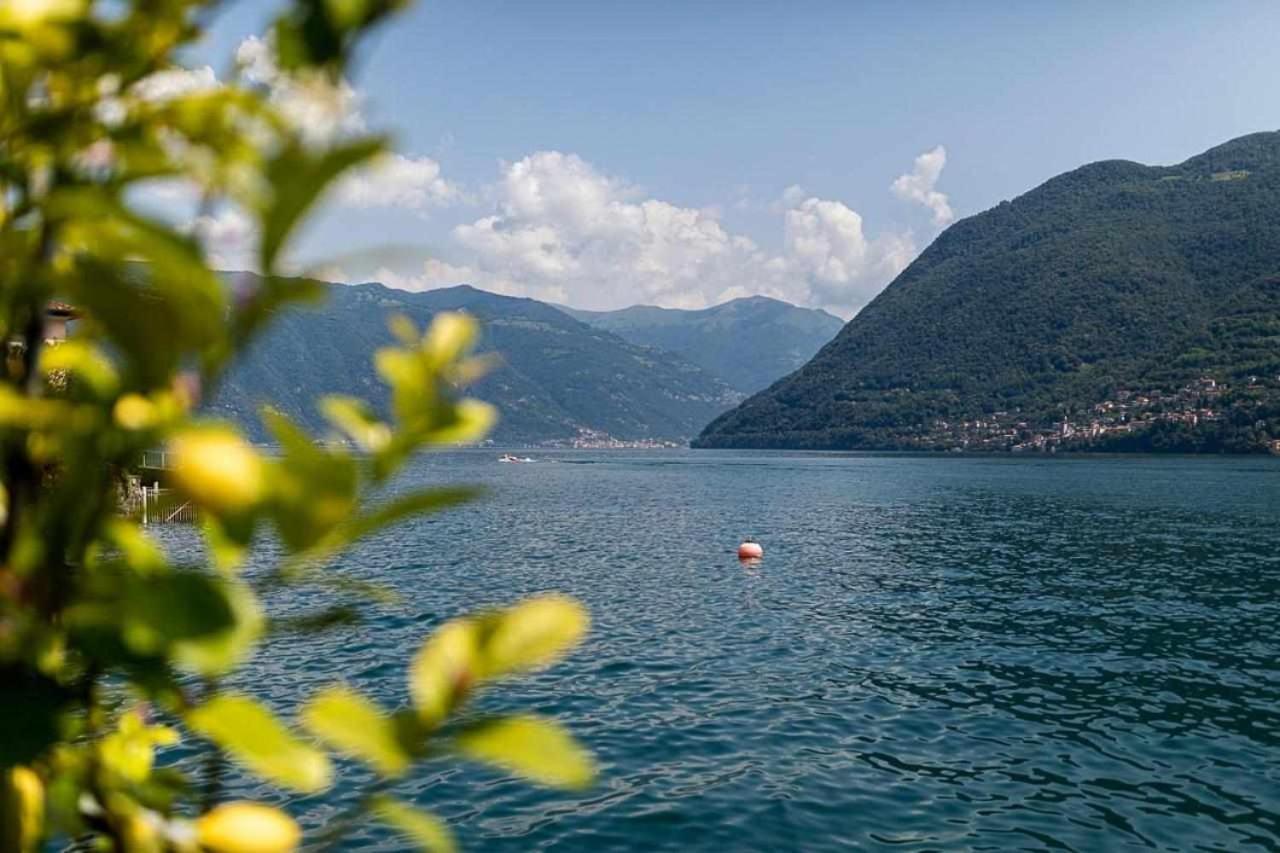 Villa Delle Edere Brienno Exteriör bild