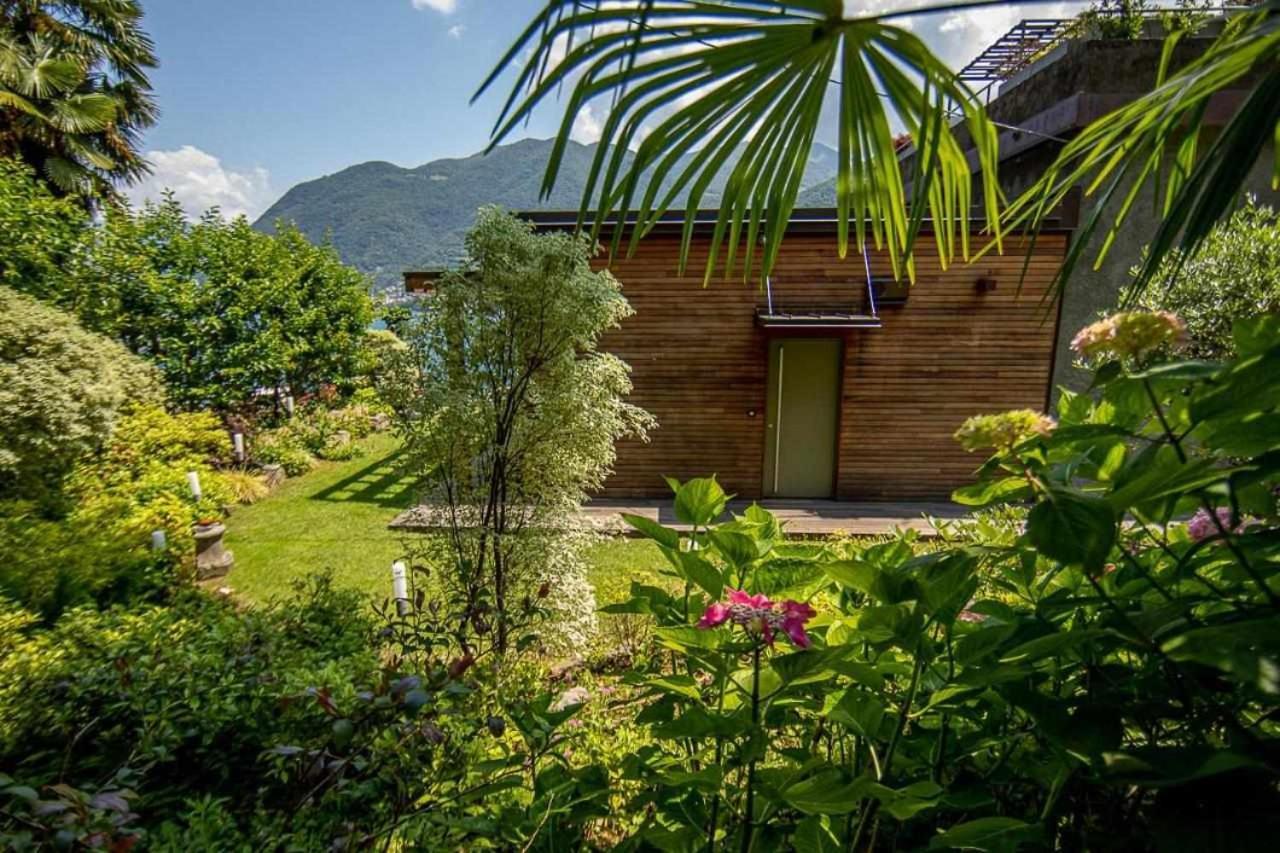 Villa Delle Edere Brienno Exteriör bild
