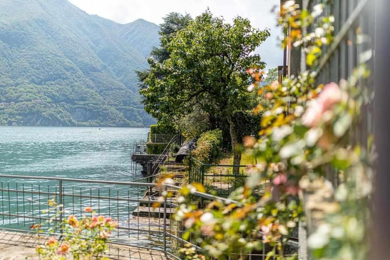 Villa Delle Edere Brienno Exteriör bild
